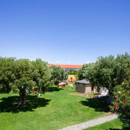 Daire Athena Summer Apartment *